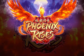 PHOENIX RISES